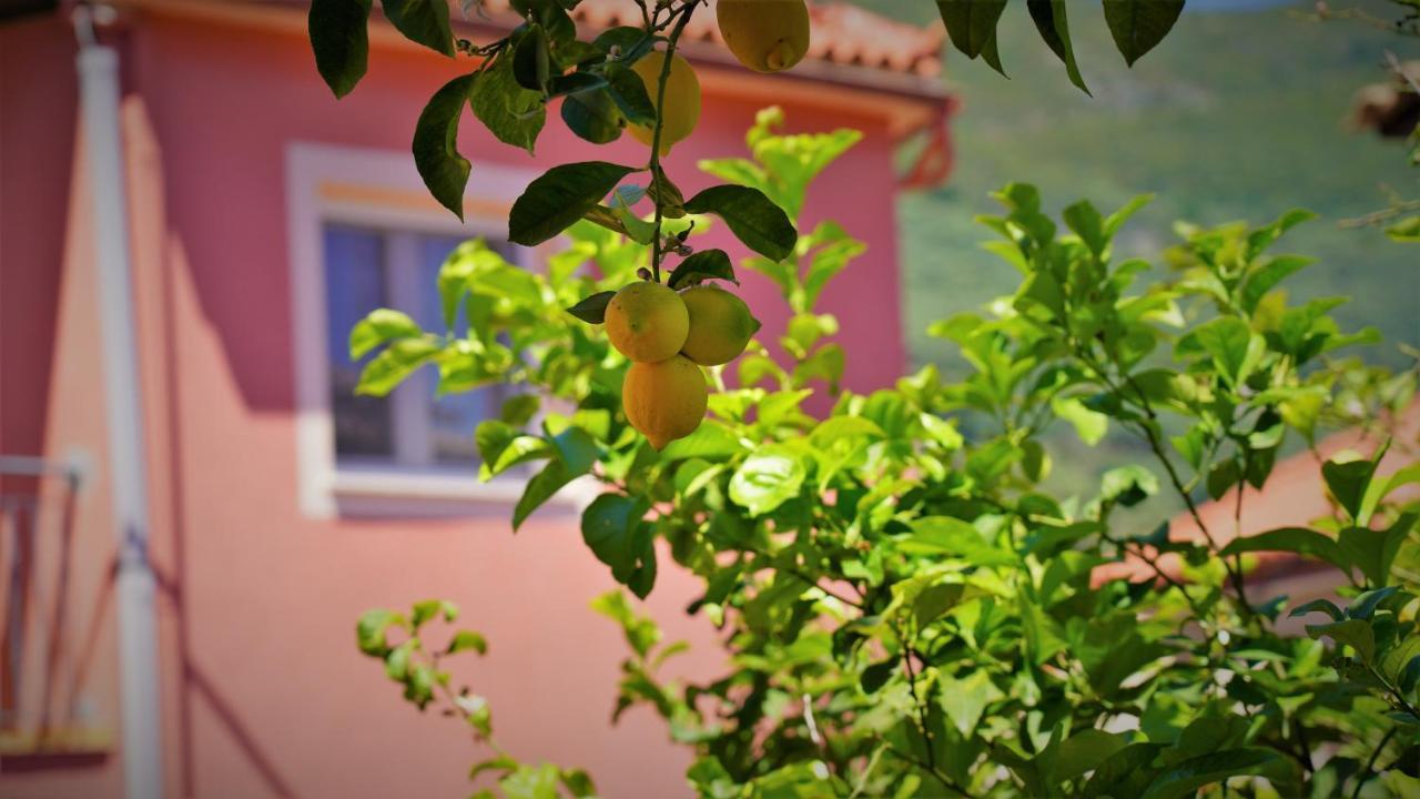 Hotel Tourist Parga Exterior photo